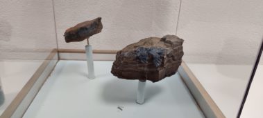 Asbesto en estado puro