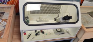 Ejemplo de laboratorio de analisis de muestra