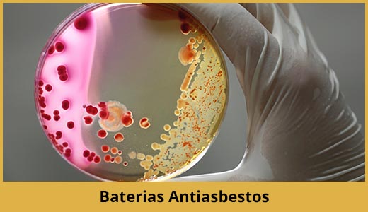 bacteria-asbestos