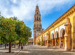 Vista de la Torre Campanario desde una plaza con naranjos en Córdoba, España.