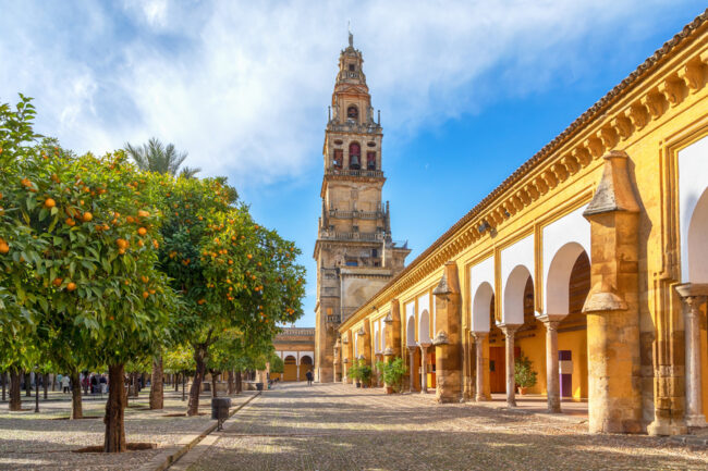 Cordoba-España Vista de la Torre Campanario desde una plaza con naranjos en Córdoba, España.