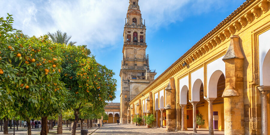 Cordoba-España Vista de la Torre Campanario desde una plaza con naranjos en Córdoba, España.