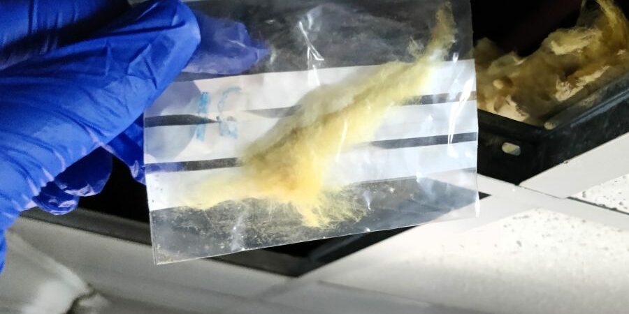 una mano sosteniendo una bolsa con una muestra de lana de amianto con un falso techo roto de fondo.